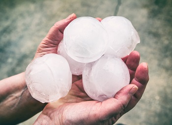 Hands holding several large sized pieces of hail